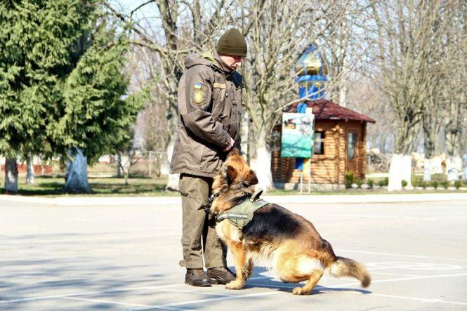 Новини Вінниці - фото з Взвод чотирилапих гвардійців. Як у Калинівському полку 14 собак служать поряд з військовими Взвод чотирилапих гвардійців. Як у Калинівському полку 14 собак служать поряд з військовими, фото №5 на сайті 20minut.ua