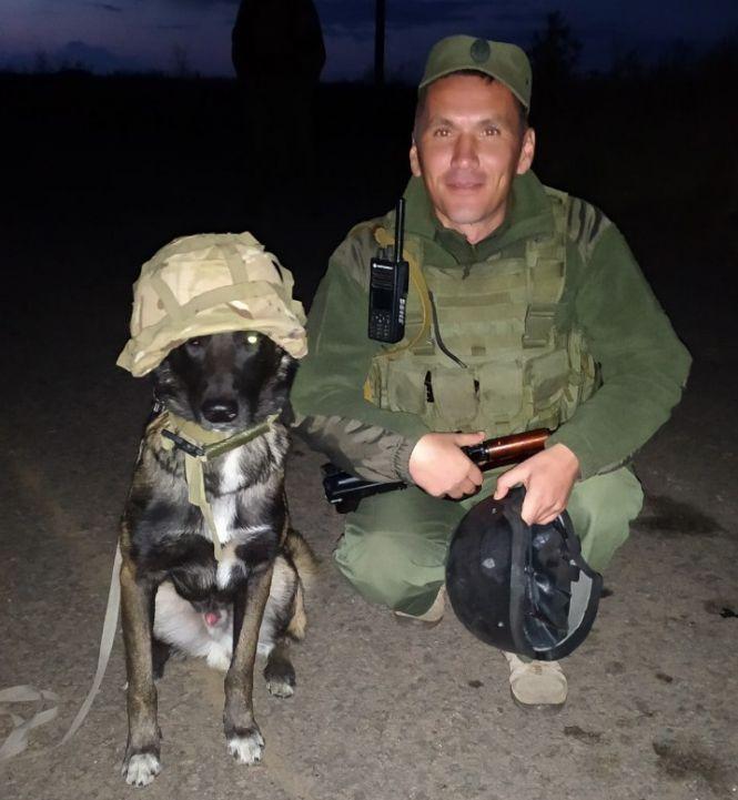 Новини Вінниці - фото з Взвод чотирилапих гвардійців. Як у Калинівському полку 14 собак служать поряд з військовими Взвод чотирилапих гвардійців. Як у Калинівському полку 14 собак служать поряд з військовими, фото №1 на сайті 20minut.ua