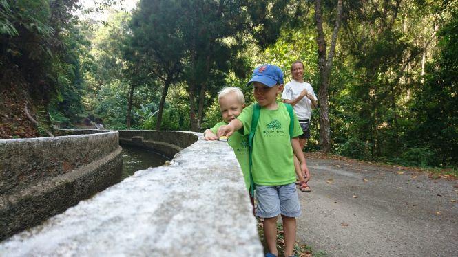 Наші в Малайзії: карантин почався з релігійного зібрання. Заборонили виходить навіть в безлюдні місця, фото №5 на сайті 20minut.ua