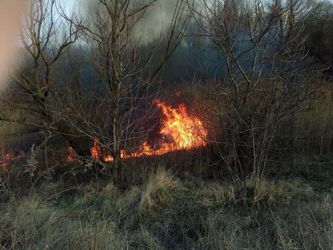 Новини Хмельницького - фото з На Озерній масштабна пожежа (ФОТО, ВІДЕО) На Озерній масштабна пожежа (ФОТО, ВІДЕО), фото №1 на сайті vsim.ua