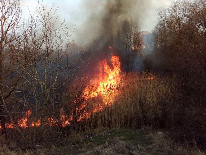 Новини Хмельницького - фото з На Озерній масштабна пожежа (ФОТО, ВІДЕО) На Озерній масштабна пожежа (ФОТО, ВІДЕО), фото №4 на сайті vsim.ua