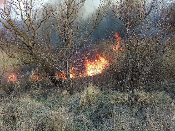 Новини Хмельницького - фото з На Озерній масштабна пожежа (ФОТО, ВІДЕО) На Озерній масштабна пожежа (ФОТО, ВІДЕО), фото №5 на сайті vsim.ua