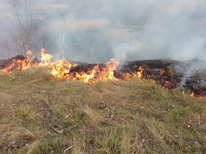 Новини Хмельницького - фото з На Озерній масштабна пожежа (ФОТО, ВІДЕО) На Озерній масштабна пожежа (ФОТО, ВІДЕО), фото №10 на сайті vsim.ua