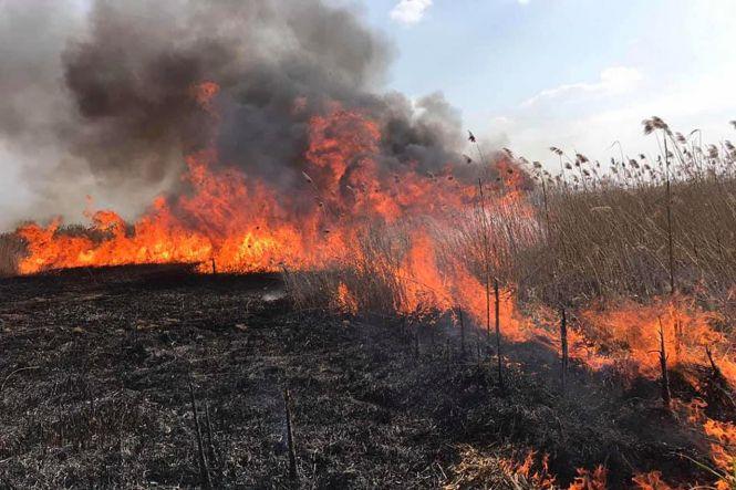 Новини Хмельницького - фото з За добу на Хмельниччині згоріло понад 40 гектарів сухої трави (ФОТО) За добу на Хмельниччині згоріло понад 40 гектарів сухої трави (ФОТО), фото №1 на сайті vsim.ua