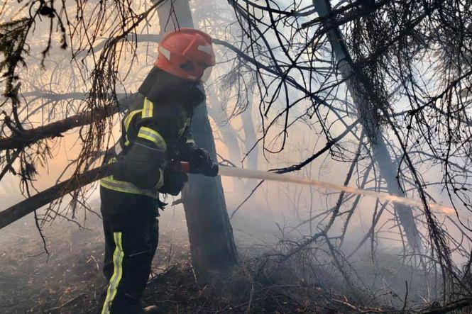 Новини Хмельницького - фото з За добу на Хмельниччині згоріло понад 40 гектарів сухої трави (ФОТО) За добу на Хмельниччині згоріло понад 40 гектарів сухої трави (ФОТО), фото №3 на сайті vsim.ua