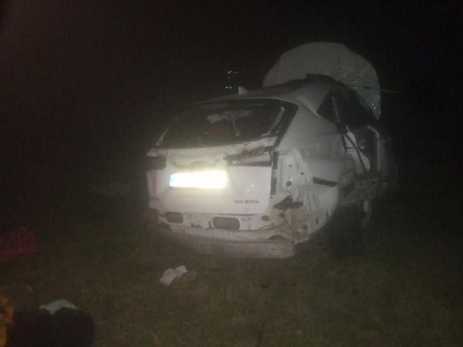 У Ворошилівці водій на білому «Lexus» злетів з дороги. Двоє людей загинули, фото №1 на сайті 20minut.ua