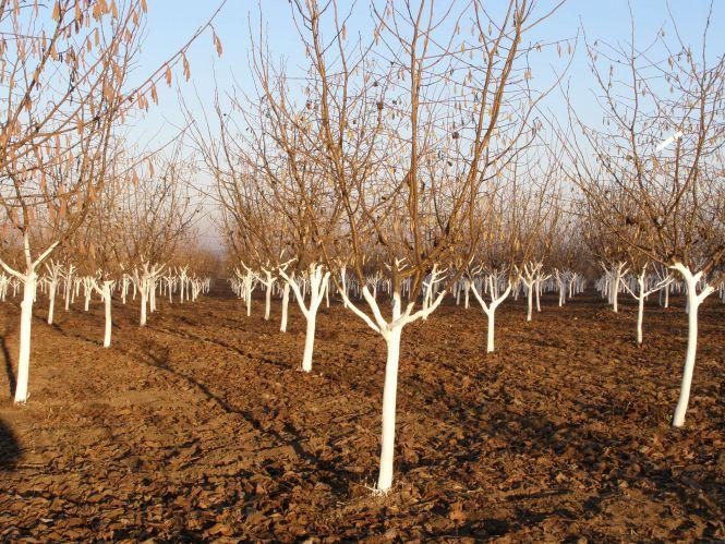 Чи можна вижити в українському селі? Приклад родинного бізнесу (Новини компаній), фото №5 на сайті 20minut.ua