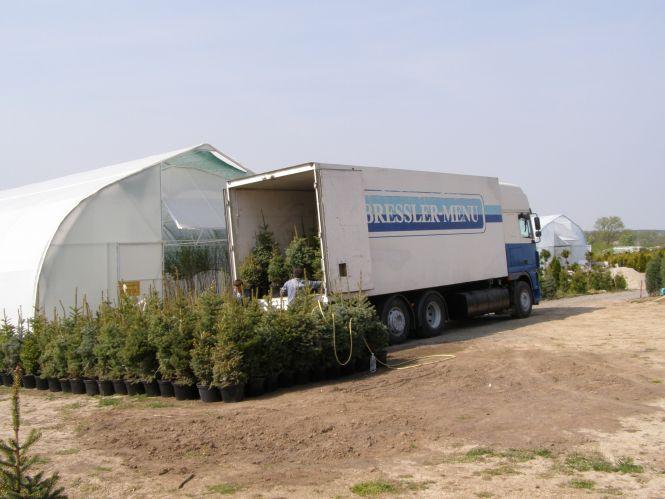 Чи можна вижити в українському селі? Приклад родинного бізнесу (Новини компаній), фото №4 на сайті 20minut.ua