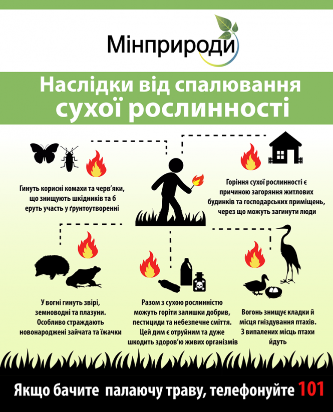 Новини Козятина - фото з Палять суху траву: Козятинський район в топі «найгарячіших» по області Палять суху траву: Козятинський район в топі «найгарячіших» по області, фото №1 на сайті 20minut.ua