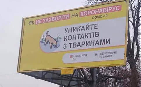 Новини Тернополя - фото з Чи переносять коти та собаки коронавірус і яких правил гігієни потрібно дотримуватися Чи переносять коти та собаки коронавірус і яких правил гігієни потрібно дотримуватися, фото №1 на сайті 20minut.ua