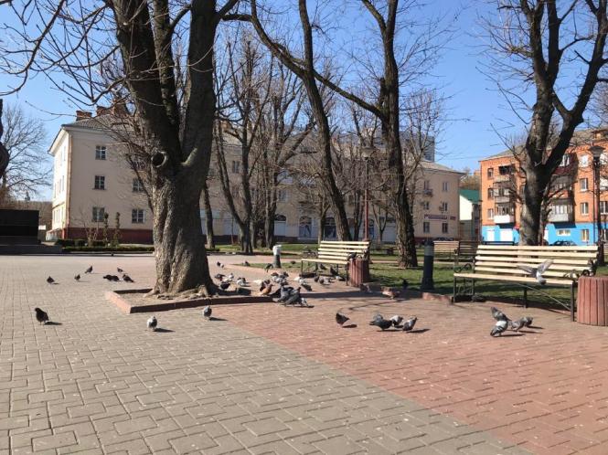 Йшла 22 доба карантину: що відбувається в центрі Хмельницького (ФОТО), фото №5 на сайті vsim.ua