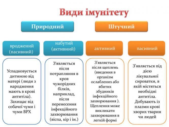 Новини Козятина - фото з 6 щоденних помилок, які ослаблюють наш імунітет 6 щоденних помилок, які ослаблюють наш імунітет, фото №1 на сайті 20minut.ua
