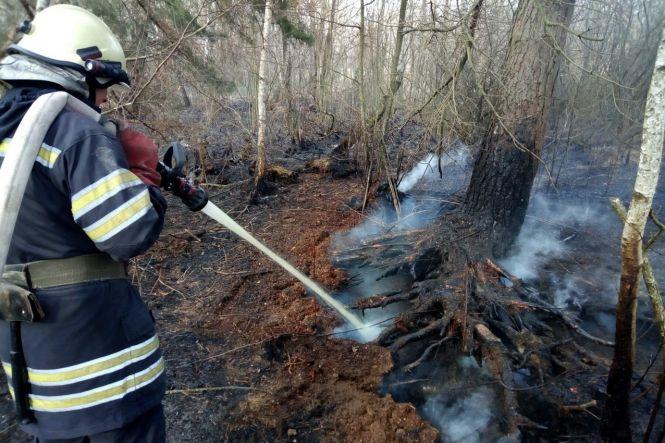 На Хмельниччині за добу рятувальники загасили 10 пожеж сухої трави, фото №1 на сайті vsim.ua