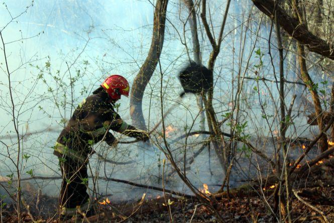 Новини Хмельницького - фото з Хотіли спалити очерет і ледь не спалили ліс. У Хмельницькому районі гасили масштабну пожежу (ВІДЕО) Хотіли спалити очерет і ледь не спалили ліс. У Хмельницькому районі гасили масштабну пожежу (ВІДЕО), фото №2 на сайті vsim.ua