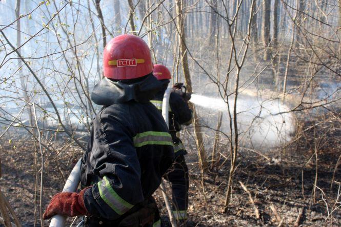 Новини Хмельницького - фото з Хотіли спалити очерет і ледь не спалили ліс. У Хмельницькому районі гасили масштабну пожежу (ВІДЕО) Хотіли спалити очерет і ледь не спалили ліс. У Хмельницькому районі гасили масштабну пожежу (ВІДЕО), фото №3 на сайті vsim.ua