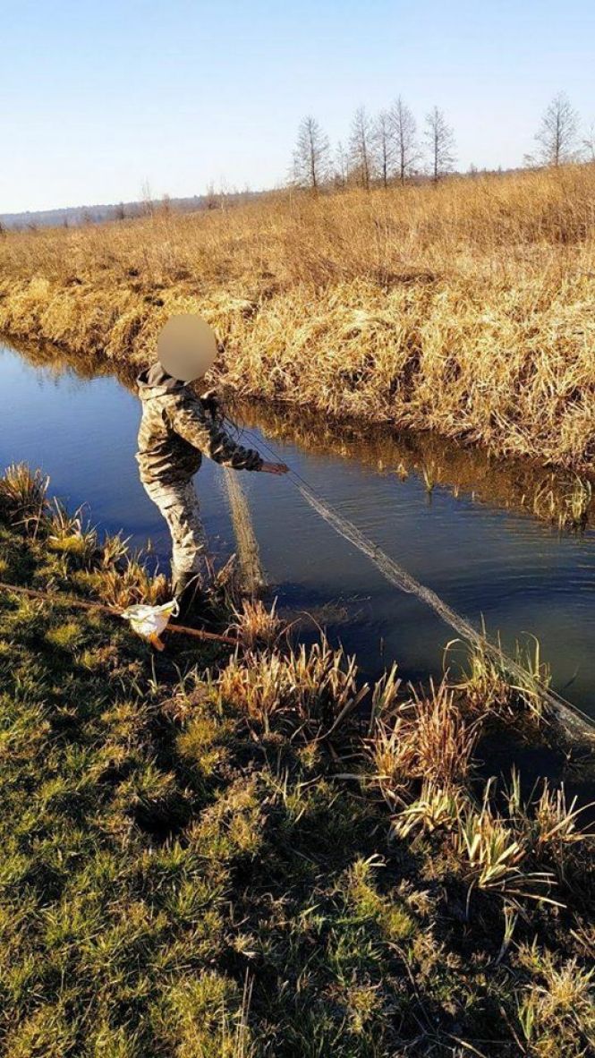 Новини Житомира - фото з Протягом п’яти днів нересту викрито 25 порушень правил рибальства Протягом п’яти днів нересту викрито 25 порушень правил рибальства, фото №1 на сайті 20minut.ua