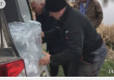 Новини Козятина - фото з 10 тисяч на коропа: зарибнили козятинську Водокачку 10 тисяч на коропа: зарибнили козятинську Водокачку, фото №2 на сайті 20minut.ua