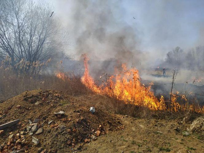 Новини Вінниці - фото з На Вишенському озері горить очерет та суха трава. Вогонь був поруч житлових будинків На Вишенському озері горить очерет та суха трава. Вогонь був поруч житлових будинків, фото №2 на сайті 20minut.ua