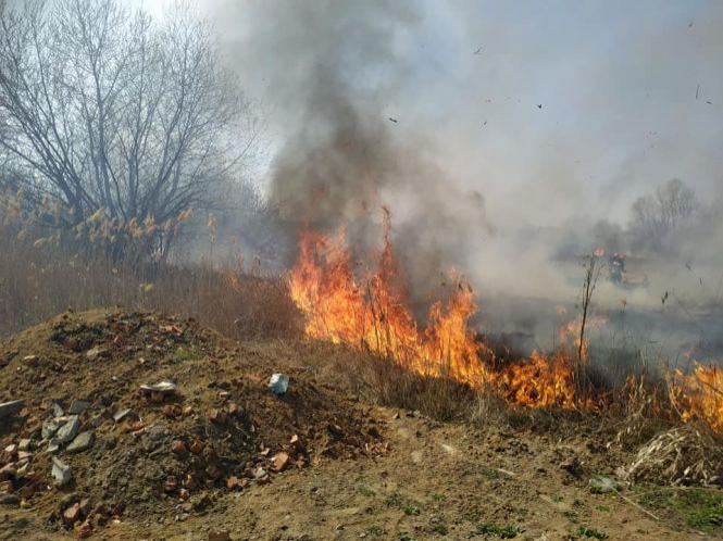 Новини Вінниці - фото з На Вишенському озері горить очерет та суха трава. Вогонь був поруч житлових будинків На Вишенському озері горить очерет та суха трава. Вогонь був поруч житлових будинків, фото №3 на сайті 20minut.ua