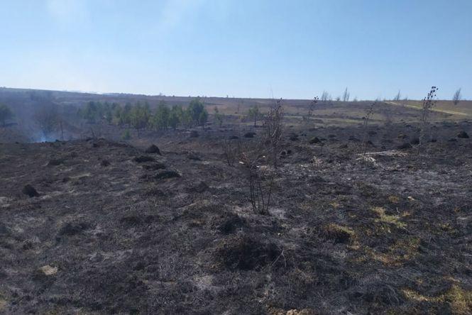 Палили траву. На Хмельниччині вогонь знищив господарчі будівлі (ФОТО), фото №2 на сайті vsim.ua