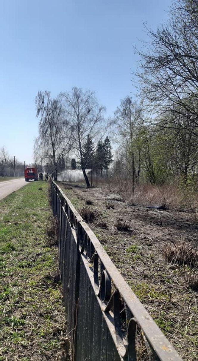 Новини Козятина - фото з У Блажіївці підпалили суху траву на кладовищі У Блажіївці підпалили суху траву на кладовищі, фото №1 на сайті 20minut.ua