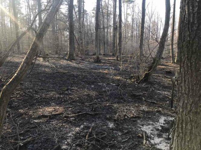 Пожежа біля Калинівського арсеналу. Вогонь зупинили за 700 метрів від боєприпасів, фото №2 на сайті 20minut.ua