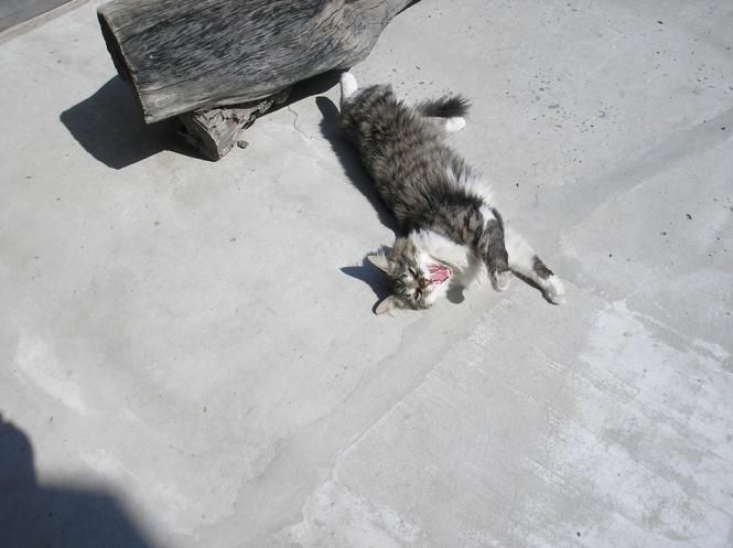 Новини Тернополя - фото з "Корона-корона... та на холєру мені ваша корона?": Борис Гора про те, як карантин вплинув на його життя Світлина від Бориса Гори.