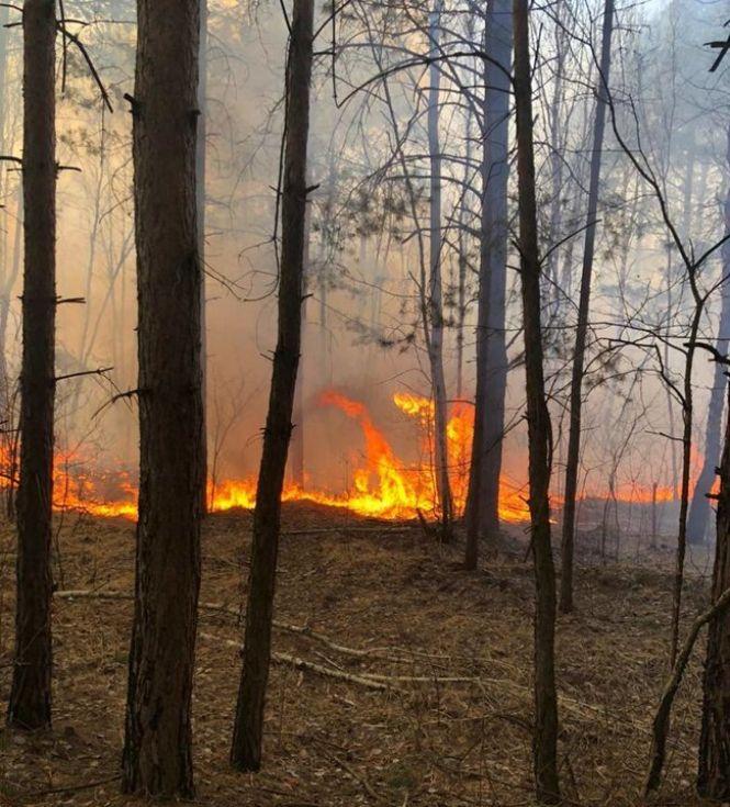 Пожежа біля Калинівського арсеналу. Вогонь зупинили за 700 метрів від боєприпасів, фото №1 на сайті 20minut.ua