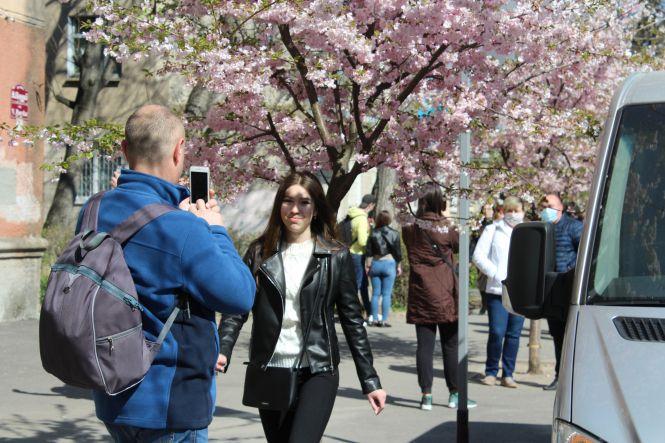 Незважаючи на карантин, десятки вінничан прийшли фотографуватися з сакурами, фото №1 на сайті 20minut.ua