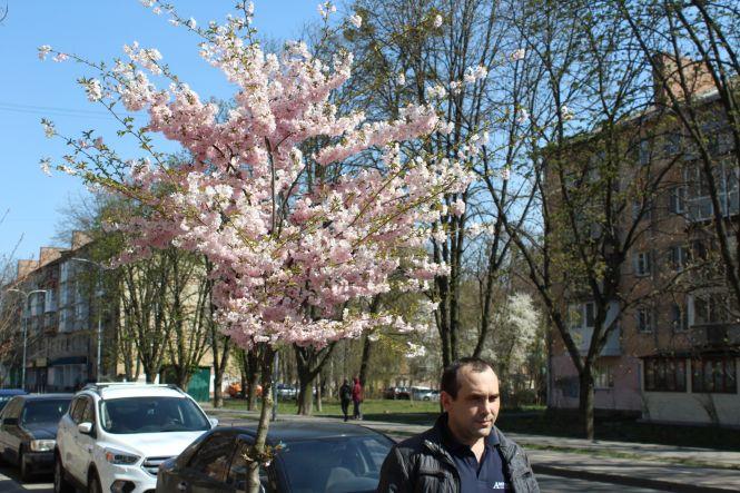 Незважаючи на карантин, десятки вінничан прийшли фотографуватися з сакурами, фото №6 на сайті 20minut.ua