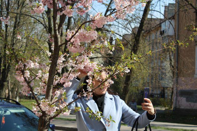 Незважаючи на карантин, десятки вінничан прийшли фотографуватися з сакурами, фото №7 на сайті 20minut.ua