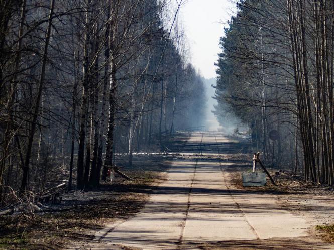 Світлина від Aleksandr Sirota.