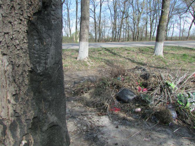 Новини Козятина - фото з На козятинському міському кладовищі палять дерева На козятинському міському кладовищі палять дерева, фото №3 на сайті 20minut.ua