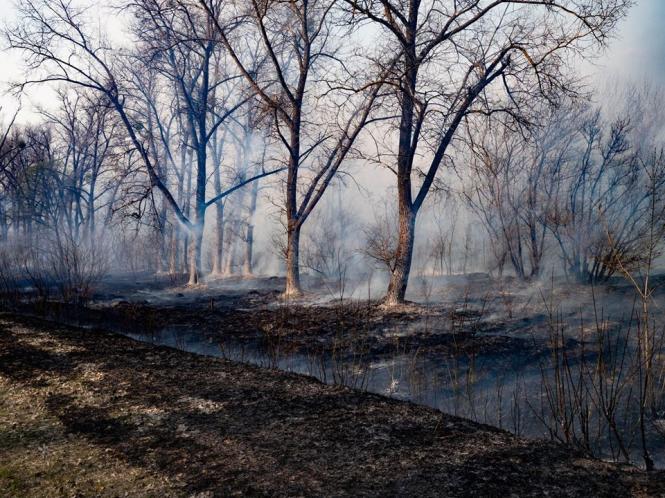 Світлина від Aleksandr Sirota.