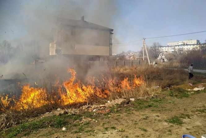 Новини Вінниці - фото з Рада посилила покарання для паліїв трави і листя. Розмір штрафів та вінницькі пожежі На Вишенському озері горить очерет та суха трава. Вогонь був поруч житлових будинків
