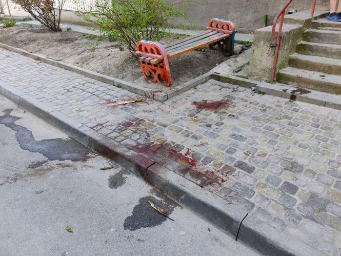 Новини Тернополя - фото з У Тернополі бійцівський пес мало не загриз стареньку безпритульну собаку У Тернополі бійцівський пес мало не загриз стареньку безпритульну собаку, фото №2 на сайті 20minut.ua