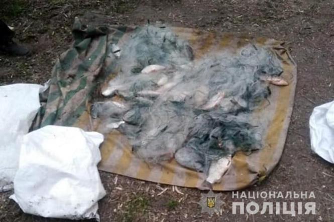 Новини Хмельницького - фото з Ловив рибу сітками. Мешканцю Хмельниччини загрожує до трьох років арешту Ловив рибу сітками. Мешканцю Хмельниччини загрожує до трьох років арешту, фото №2 на сайті vsim.ua
