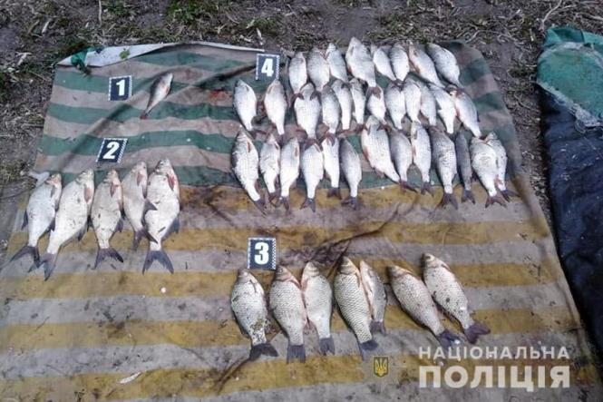 Новини Хмельницького - фото з Ловив рибу сітками. Мешканцю Хмельниччини загрожує до трьох років арешту Ловив рибу сітками. Мешканцю Хмельниччини загрожує до трьох років арешту, фото №1 на сайті vsim.ua