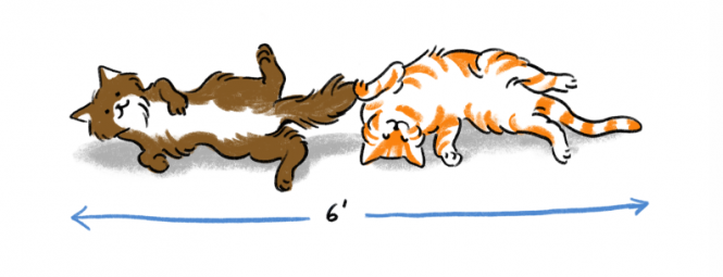 Ми перевірили: чи дотримуються хмельничани соціальної дистанції, фото №7 на сайті vsim.ua