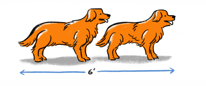 Ми перевірили: чи дотримуються хмельничани соціальної дистанції, фото №10 на сайті vsim.ua