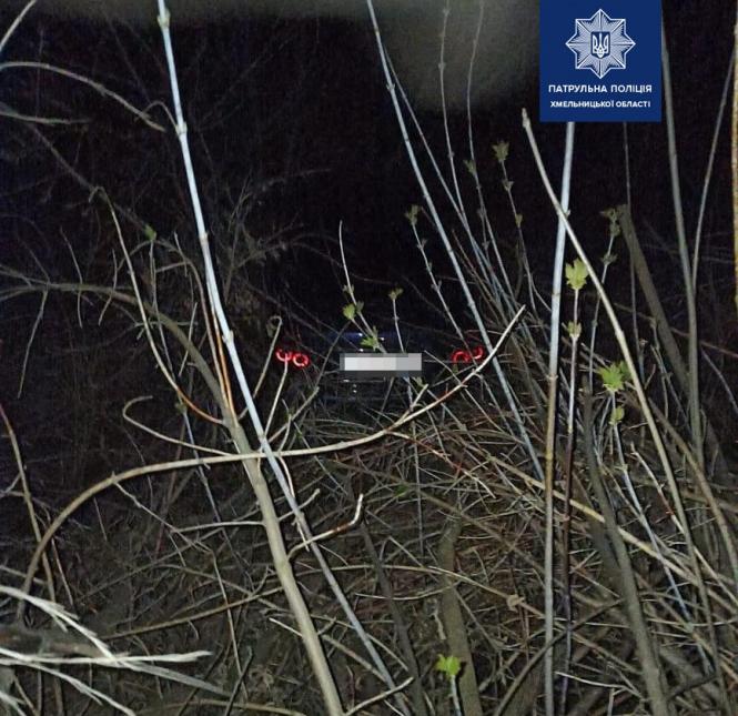 На изображении может находиться: растение, дерево, на улице и природа