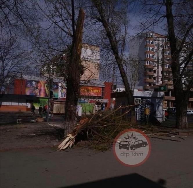 Повалені дерева й понівечена реклама: що наробила негода в Хмельницькому, фото №1 на сайті vsim.ua