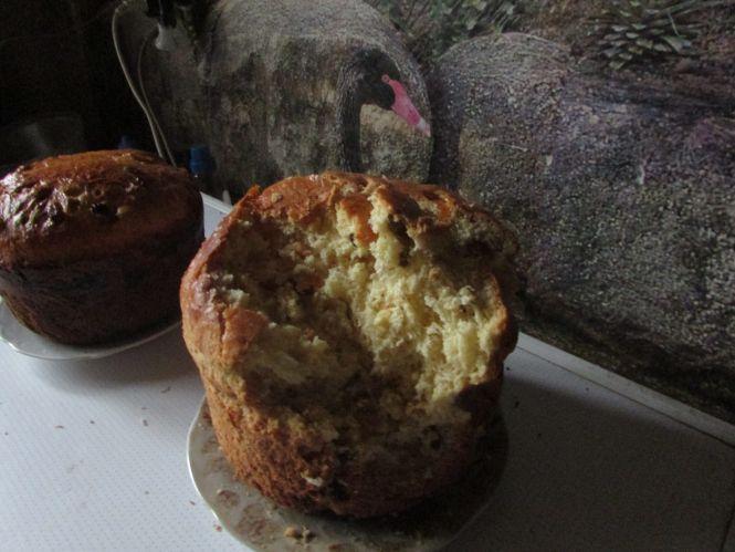 Фото дня: ненажера Біляш, Тузік з подушкою та трохи наших вулиць, фото №1 на сайті 20minut.ua