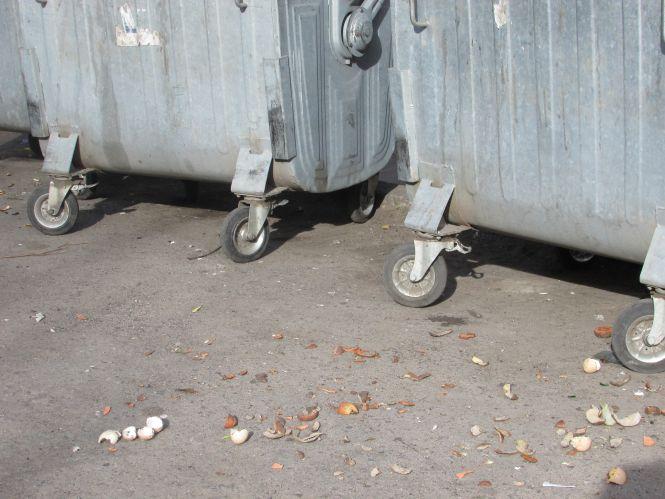 Фото дня: ненажера Біляш, Тузік з подушкою та трохи наших вулиць, фото №3 на сайті 20minut.ua