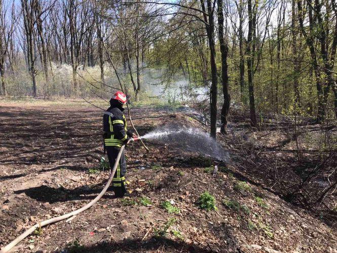 Через пожежі в екосистемі сильно забруднене повітря, особливо вранці, фото №1 на сайті 20minut.ua