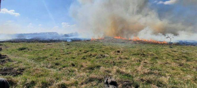 Через пожежі в екосистемі сильно забруднене повітря, особливо вранці, фото №2 на сайті 20minut.ua