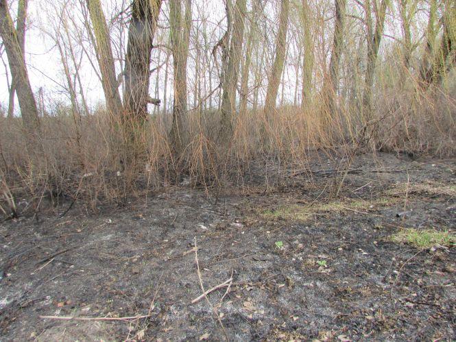 Хотів зробити добру справу не думаючи про наслідки чи диверсію?, фото №1 на сайті 20minut.ua