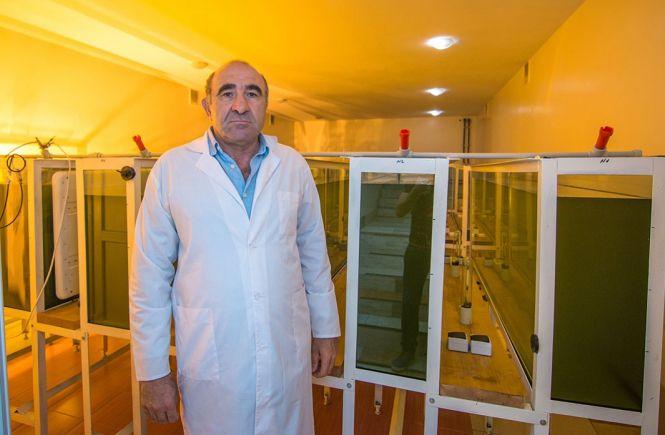 Новини Вінниці - фото з У відстійнику Гайсинського спиртзаводу з’явилася хлорела. Що за експеримент? У відстійнику Гайсинського спиртзаводу з’явилася хлорела. Що за експеримент?, фото №2 на сайті 20minut.ua