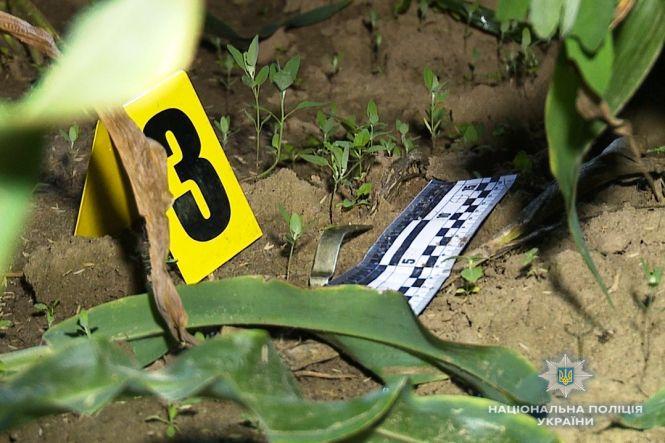 Новини Вінниці - фото з Кинув гранату у поліцейського. Засудили зловмисника з Флорино Кинув гранату у поліцейського. Засудили зловмисника з Флорино, фото №1 на сайті 20minut.ua