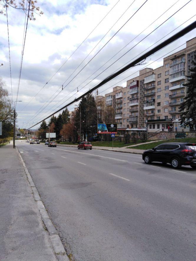 Новини Тернополя - фото з На Бандери обірвані дроти висять на відстані руки: куди звертатись у випадку аварій На Бандери обірвані дроти висять на відстані руки: куди звертатись у випадку аварій, фото №1 на сайті 20minut.ua